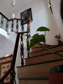 2 BHK Lonavala Private Garden + Holiday Home - Image 5