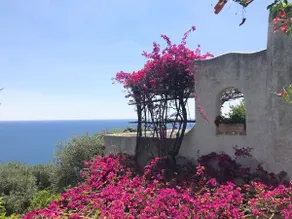 \"BLÅ MARINA\" Conca dei Marini AMALFI COAST - Image 5