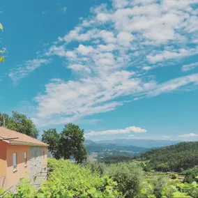 Quinta da Vinagra - Image 3
