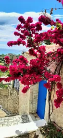 My holiday home in Qeparo - Image 3