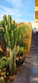 Laura's Corner - Image 5