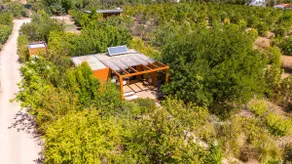 Stella - Image 5