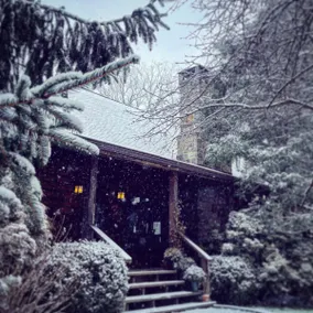 Entire Private 3-BR Log Cabin Nature Getaway - Image 3