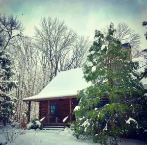 Entire Private 3-BR Log Cabin Nature Getaway - Image 2