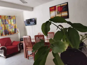 D-5 Apartment next to the terrace - Image 2