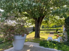 Beautiful house in the heart of the Loire Valley castles - Image 4