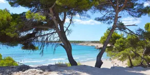 A Little Corner of Provence. Private heated pool - Image 2