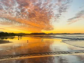 Ohana - The Heart of Byron - Free Parking ! - Image 5