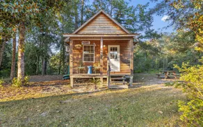 Creekside Cabin with 2 beautiful private sandbars - Image 2