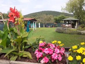 Gîte de la Doudounette - Pool - garden-parking - Image 2