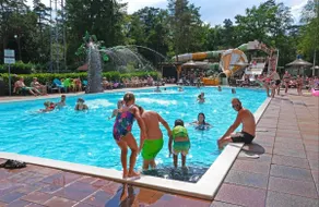 Luxury Chalet with beautiful forest views and swimming pool - Image 4