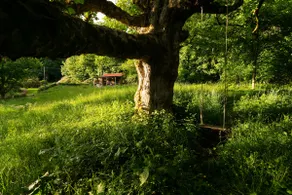 Luxury Off-Grid Cabin with Outdoor Bath in Scotland - Image 4