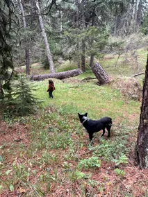 Secluded mountain retreat, 10m. to Ashland, by PCT - Image 4