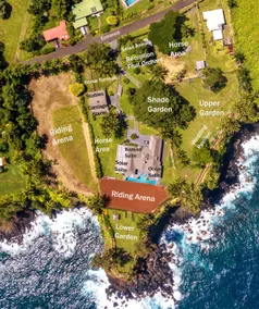 Oceanfront Estate Retreat 1 - Carriage w/ Horses - Image 2