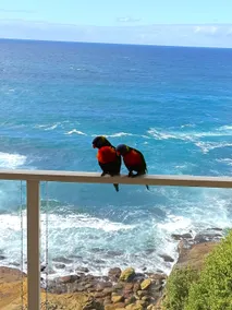 Breathtaking Ocean Views - Image 5