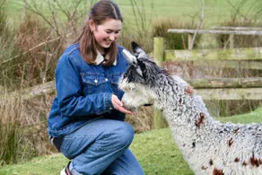 Strawfields. Fantastic rural location. Close to beaches. Games barn and Alpacas. - Image 4