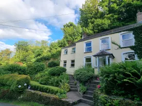 Cosy Cottage overlooking the Teifi Gorge - Image 3
