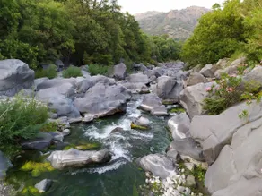 Palmento on the Alcantara River - Image 5