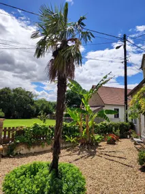 Bucolic hamlet for 4 people to the sound of the Spanish guitar - Image 2
