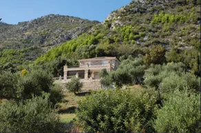 Old Olive house - Image 4
