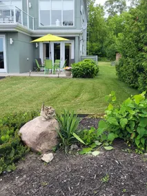 Lovin' the County! Perfect location! - Image 2