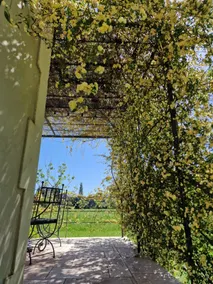 Clé des Champs Peaceful villa in the Alpilles - Image 4