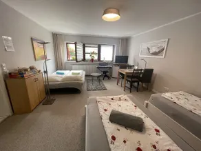 Comfortable apartment G near Frankfurt - Image 3