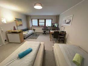 Comfortable apartment G near Frankfurt - Image 5