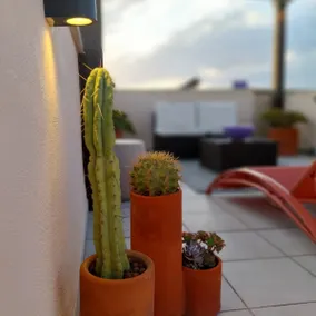 Almería Penthouse, everything you need to be happy - Image 2