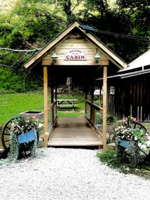 Hidden Hollow Cabin - Image 3