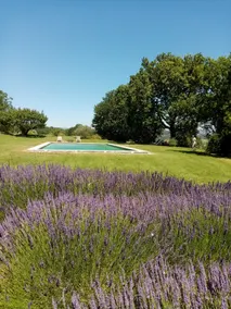 Quiet with panoramic view, pool and fireplace - Image 4