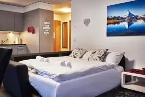 Apartment Breithorn-private terrace & free parking - Image 4