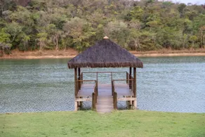 Inhapim do Brejo Farm - Image 4
