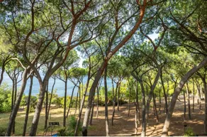 Q5344 - Casetta Nereidi! Beachfront vacation! - Image 2