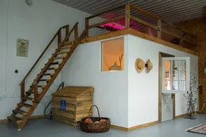 Forest Loft - Forest, Sauna, Ponds & Stargazing - Image 4