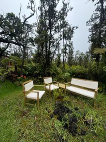 Fern Forest Estates Cottage - Image 5
