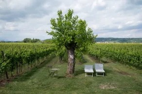 La Vigna Holiday House - Image 3