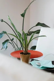 Apartament Cyrkoniowa, FREE Parking, Fast Wi-Fi - Image 3