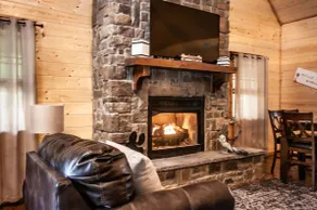 All the things! Prime location, tree house, views - Image 5