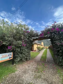 Mi casa amarilla - Image 2