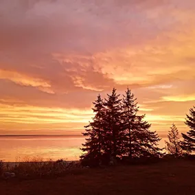 The Bhombay Beach House on Sandy Lake Huron~! - Image 5
