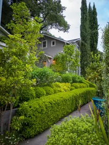 Romantic Napa Valley Cottage - Image 4