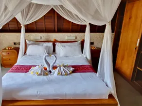 Relaxation and luxury at Jungle Paradise - Image 2
