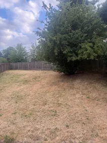 Newly remodeled beautiful Haven near airport! - Image 4