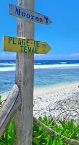 The cabin – facing the Pacific Ocean - Image 4