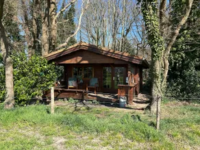 The Boshuisje. Feel at home in this house and enjoy - Image 4