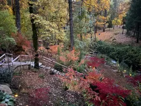Creekside Zen Writer's Cabin, Hottub, Tearoom - Image 2