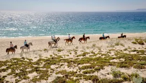 Comporta House - Image 5