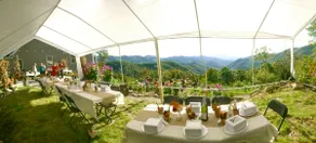 Amazing View! Smoky Mountains Pet Friendly Hikers - Image 2