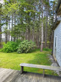 Cottage by the sea private oceanfront shoreline - Image 4